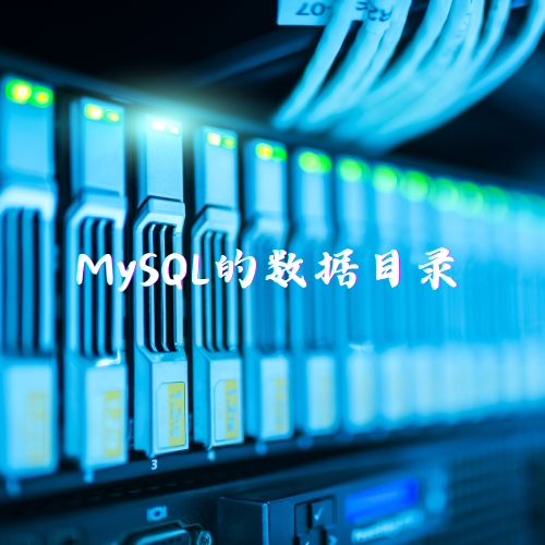 MySQL的数据目录
