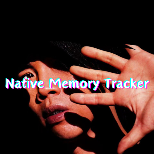 NMT - 内存追踪区域分析